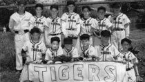 Little League team photo of the "MV Tigers", 1955