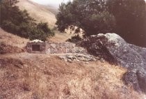 Robert Cook Bench Dedication, 1980