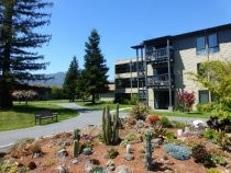 Redwoods Retirement Community cactus garden, 2019