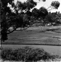 Trestle near the Miller Avenue extension, circa 1960s