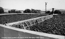 Mill Valley sewage treatment plant, 1971