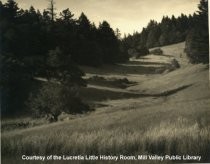 Mt. Tamalpais, Rock Spring, 1935