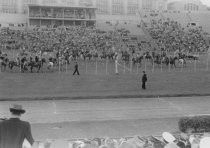 Horse show or horse race in outdoor arena, unknown