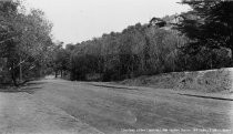 West Blithedale Avenue, circa 1912