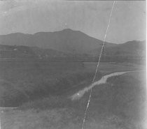 Photo of the Marsh below Almonte looking toward Mt. Tamalpais, circa 1920