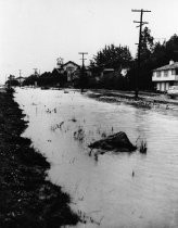 Miller Avenue flooded in the winter of 1955