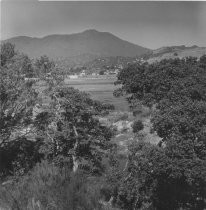 Marshlands and Mt. Tamalpais, circa 1930s