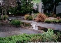 The flood at high tide by The Redwoods retirement community, January 11, 2005