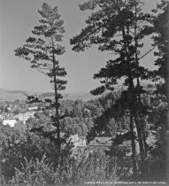 Aerial view with Richardson Bay Bridge in background, circa 1945