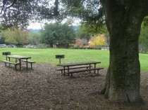 Boyle Park picnic area, 2016