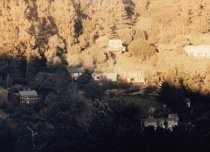 View of homes, 1986