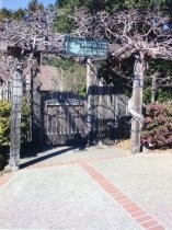 Photo of the Mill Valley Outdoor Art Club, date unknown