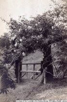 Entrance to Three Groves circa 1918