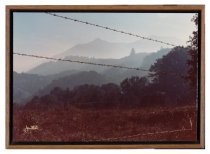 Color photograph of Mt. Tam and barbed wire from Fairfax or White's Hill