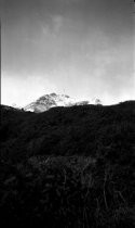 Snow covered East Peak Mt. Tamalpais 1922