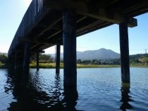 Pickleweed Inlet pedestrian bridge from below, 2019