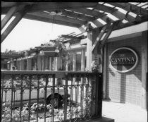 The Cantina Mexican Restaurant at Blithedale Plaza, 1983