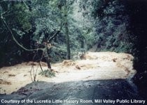 Washout above 521 West Blithedale Avenue after the January 4, 1982 flood