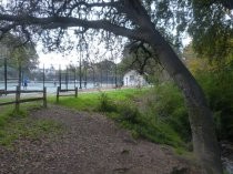 Boyle Park tennis courts and Warner Creek, 2016