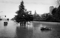 Flood at Miller Avenue, 1982