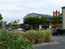 Shoreline Office Building landscaping, 2016