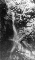 Cascade Falls, 1890