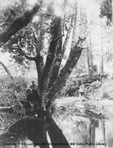 Old Mill Creek, date unknown