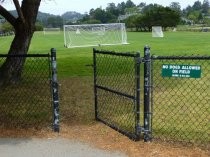 Bayfront Park recreational field, 2016