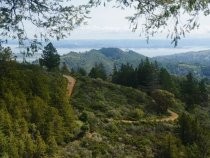 Old Railroad Grade at the Double Bow Knot, 2017