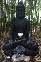 Madrona Steps Buddha statue just off pathway, 2017