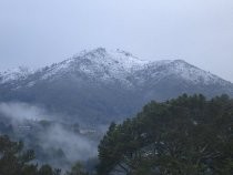 Snow on Mount Tamalpais, 2011