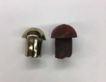 Two Golden Gate Bridge rivets