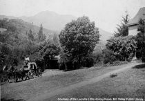 Water wagon in front of the Blithedale Hotel, circa 1900