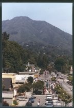 Memorial Day Parade on Miller Avenue near Montford Avenue, 1980