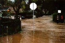 The 2005 Mill Valley flood on Miller at La Goma intersection, 12/30/2005