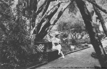 Lillian Ferguson Resting in her Garden, circa 1928