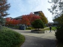 Mill Valley Community Center pathway, 2016