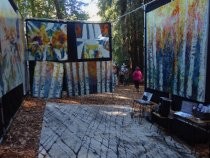 Fall Arts Festival open air artist booth, 2019