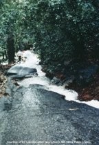 Washout on West Blithedale Avenue after the January 4, 1982 flood