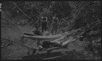 Hammocks at Willow Camp, 1920