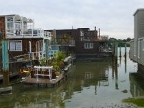 Floating home backyards, 2016