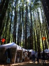 Fall Arts Festival under redwoods, 2015