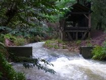 Old Mill Creek and dam, 2017