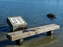 Multiuse Pathway signage and bench inundated by king tide, 2012