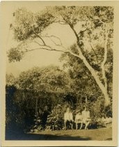 The Jenkins children, Mill Valley, 1925 Eleanor "Dolly" Cushing, age 18 months, 1890 Eleanor "Dolly" Cushing, age 18 mon