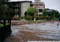 The flood at high tide by The Redwoods retirement community, January 11, 2005