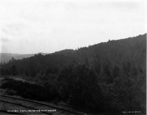 Vista Above The Muir Woods, No. 21 MA, circa early 1900s