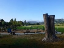 Hauke Park playground, 2017