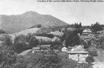 Carnegie Library, circa 1960