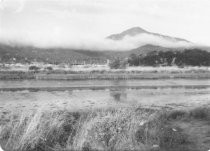 Photo showing the Marshlands, circa 1940's